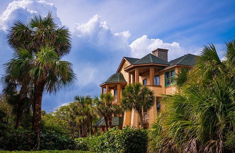 palm trees at disneys vero beach dvc resort